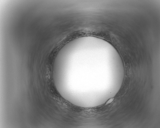 X0000056031253200509170027