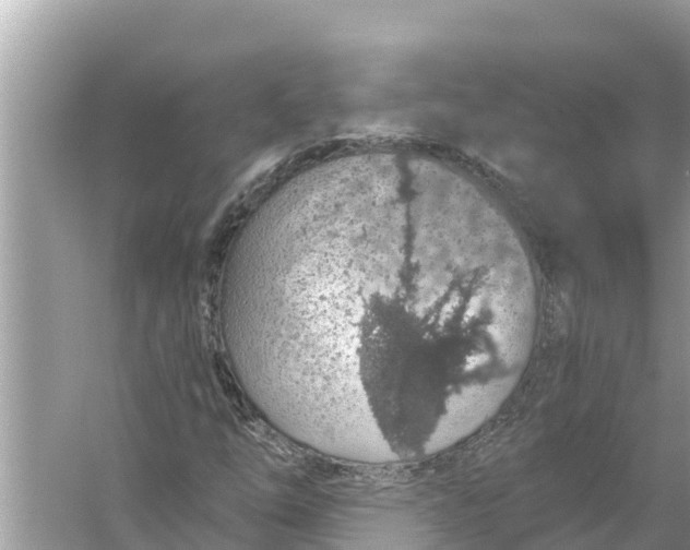 X0000056031254200509170027