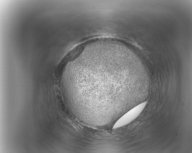 X0000056031255200509170027