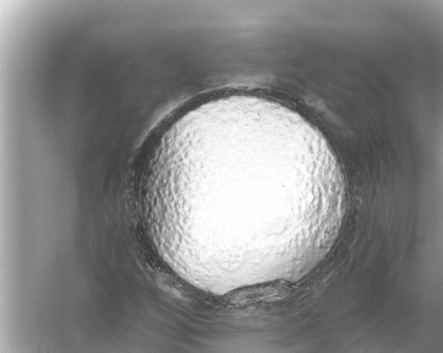 X0000056031256200509170027