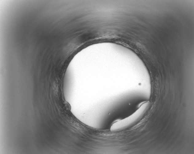 X0000056031257200509170027