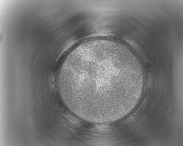 X0000056031258200509170027