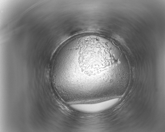 X0000056031260200509170027