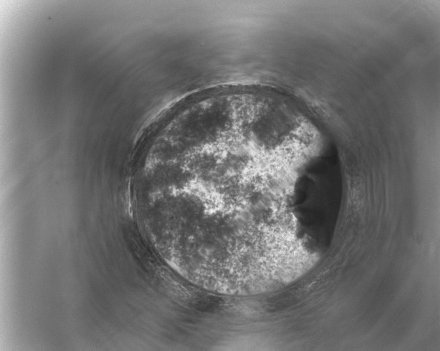 X0000056031262200509170027