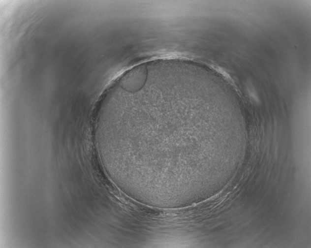 X0000056031263200509170027