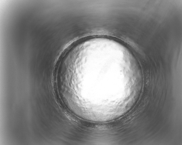 X0000056031264200509170027