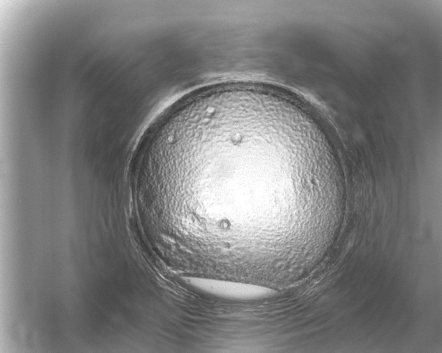 X0000056031271200509170027