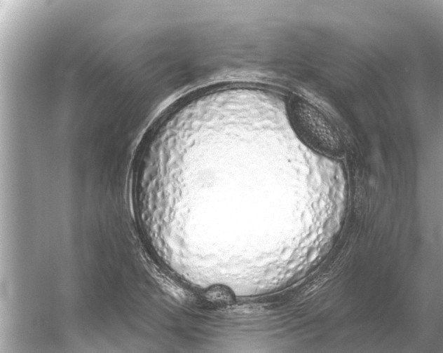 X0000056031272200509170027