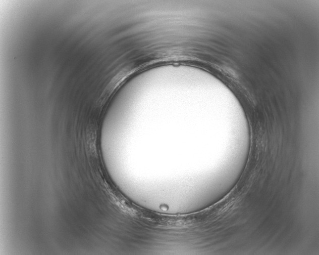 X0000056031273200509170027