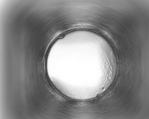 X0000056031275200509170027