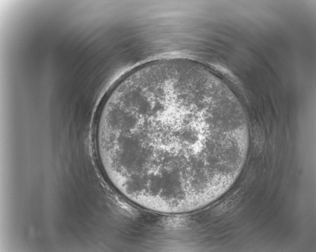 X0000056031278200509170027