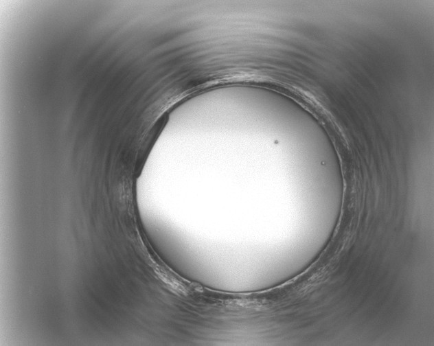 X0000056031281200509170027