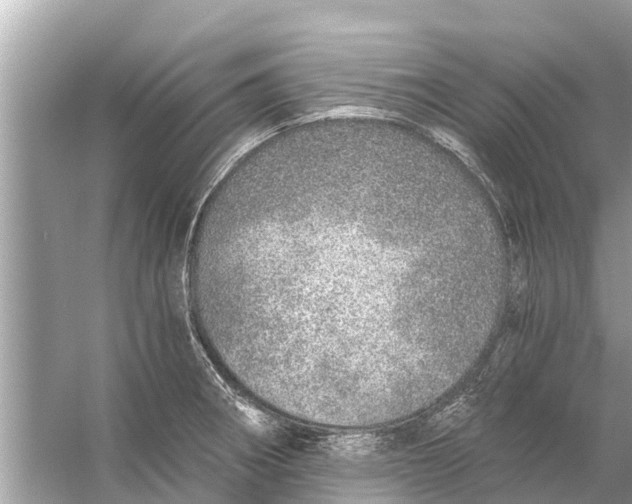 X0000056031282200509170027