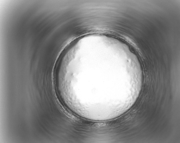 X0000056031283200509170027