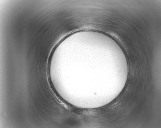 X0000056031286200509170027