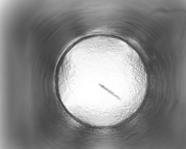 X0000056031288200509170027