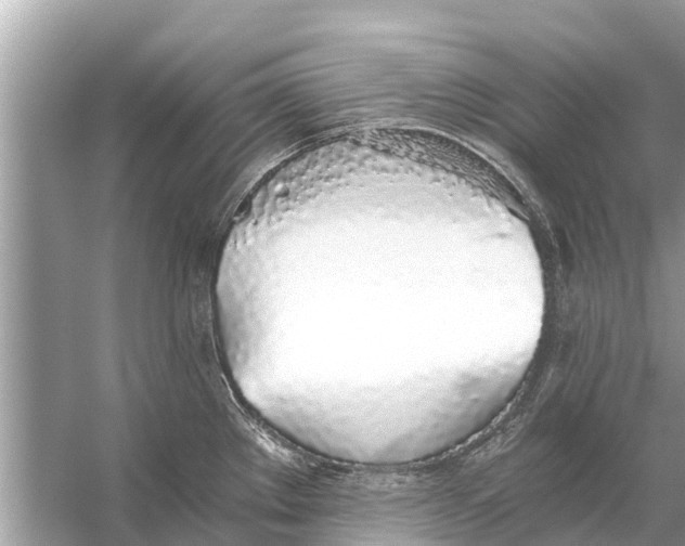 X0000056031289200509170027