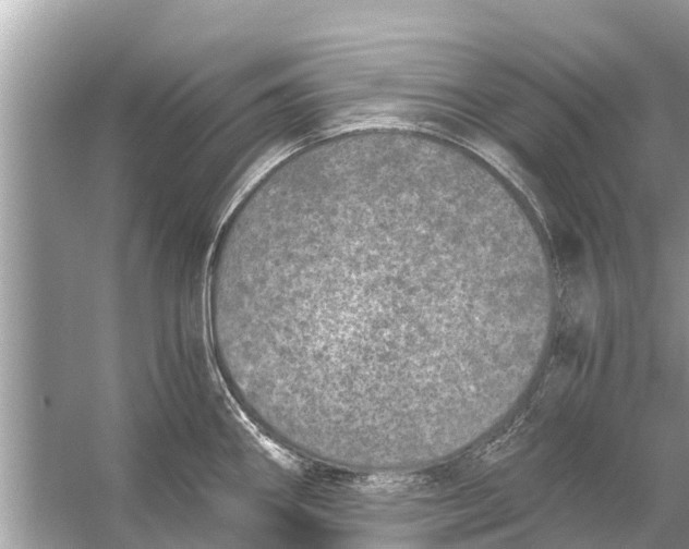 X0000056031290200509170027