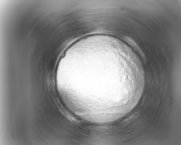 X0000056031292200509170027