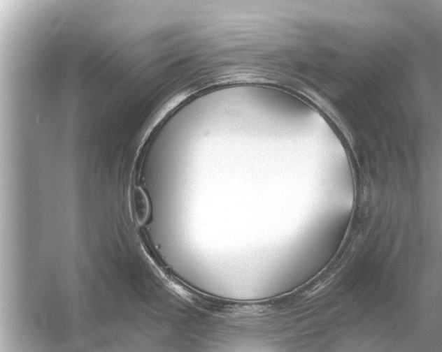 X0000056031293200509170027