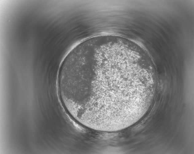 X0000056031294200509170026