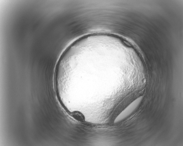 X0000056031295200509170026