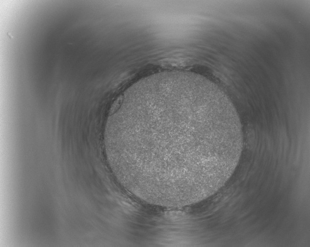 X0000056031297200509170026