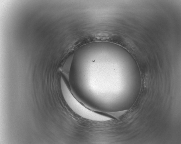 X0000056031298200509170026