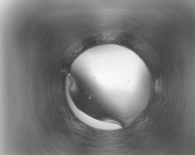 X0000056031299200509170026