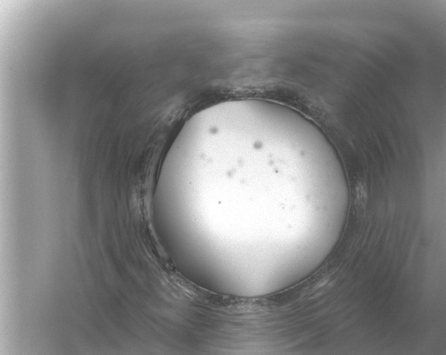 X0000056031300200509170026