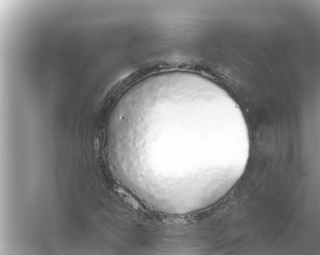 X0000056031302200509170026