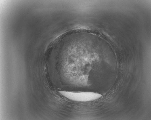 X0000056031303200509170026