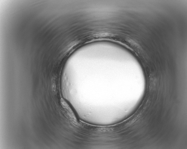 X0000056031305200509170026