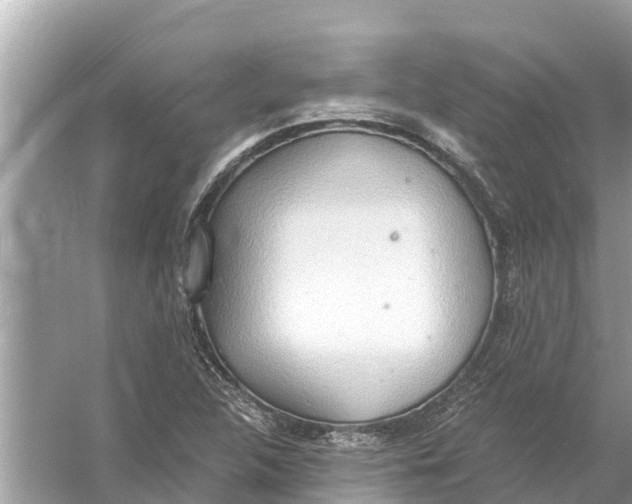 X0000056031312200509170026