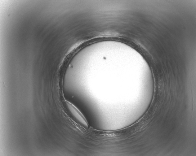 X0000056031315200509170026