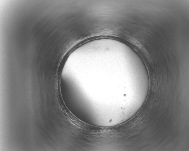 X0000056031316200509170026