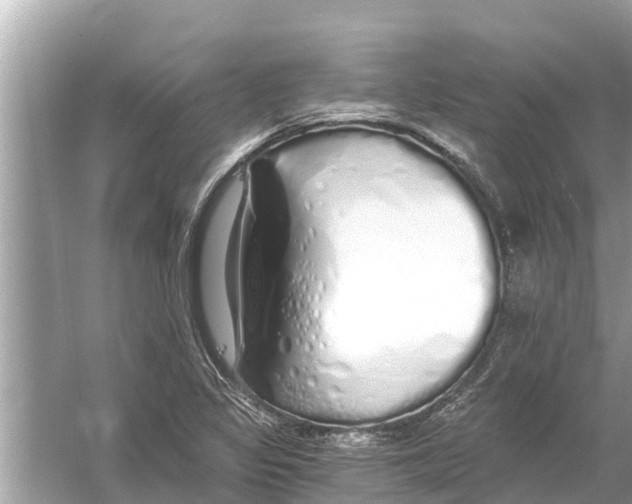 X0000056031317200509170026