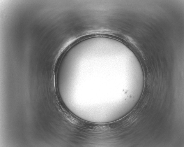 X0000056031320200509170026