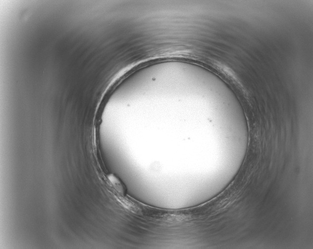 X0000056031324200509170026