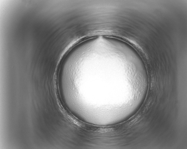 X0000056031325200509170026