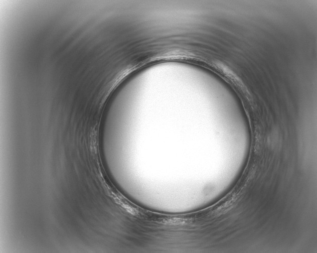 X0000056031329200509170026