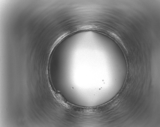 X0000056031330200509170026