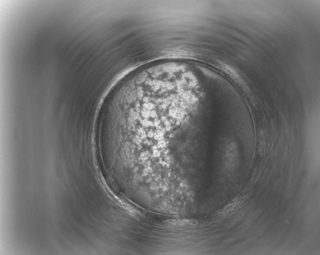 X0000056031331200509170026