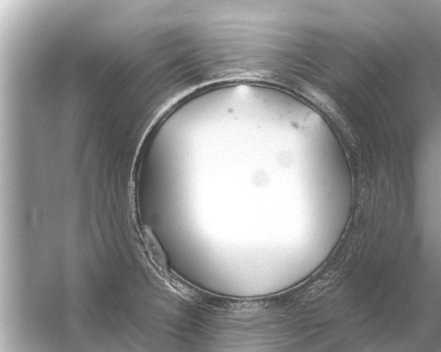 X0000056031332200509170026