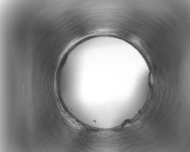 X0000056031336200509170026