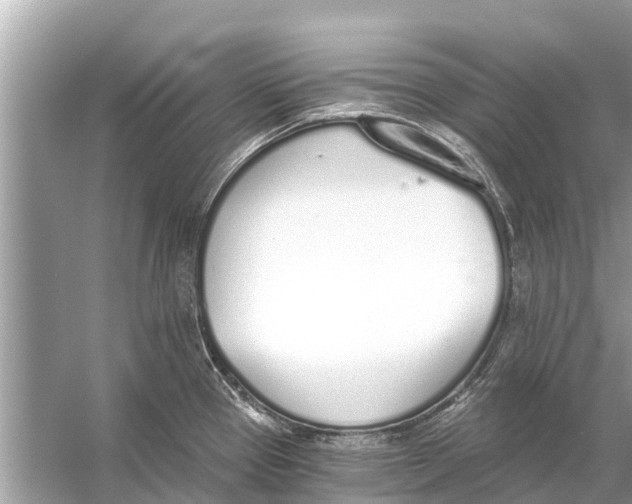 X0000056031337200509170026