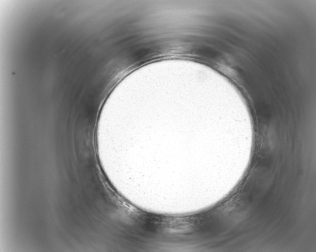 X0000056031338200509170026