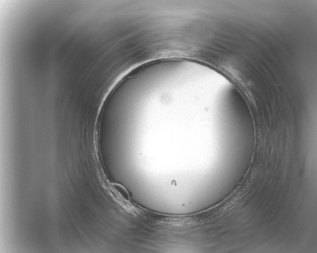 X0000056031340200509170026