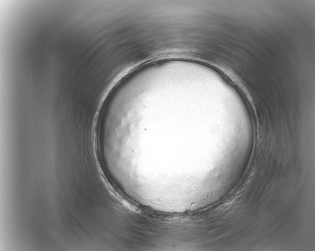 X0000056031341200509170026