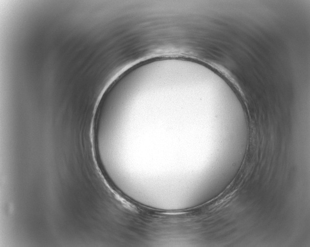 X0000056031343200509170026